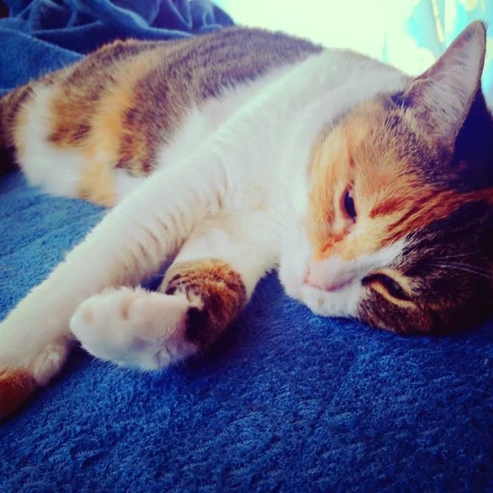 Fcb71aaa c47e 4270 8722 6c6d67a0c8a9 1638512595806