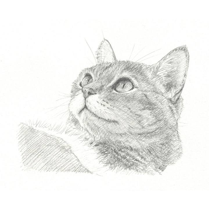 Fcb728e2 9524 4351 a51b 021d3ccc8113 1544189033699