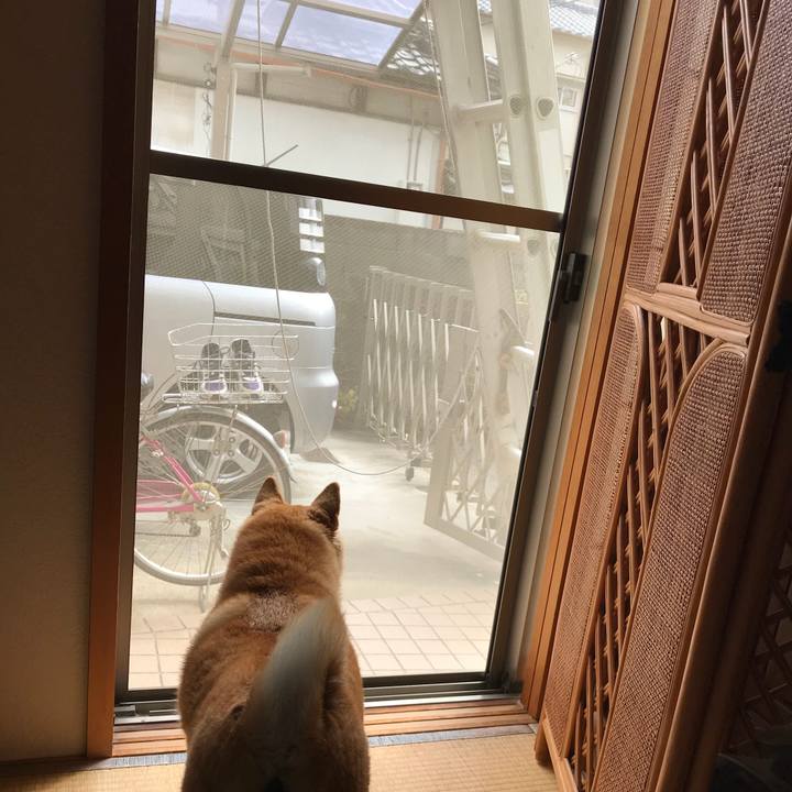 Fcb73f1e de74 4b08 8967 636b55b7c842 1508833546113