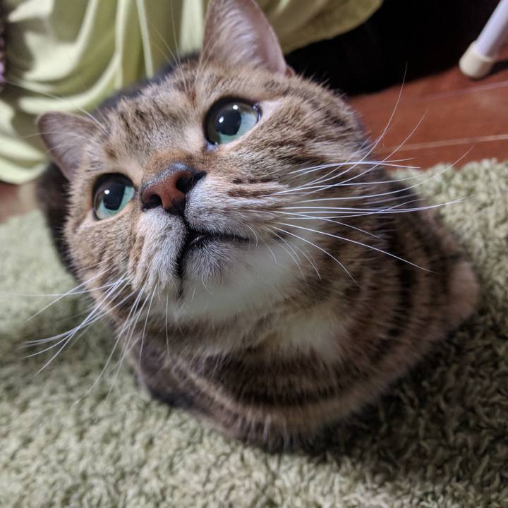 Fcb750f8 9407 41cb 998c 071157d3905a 1545216584568