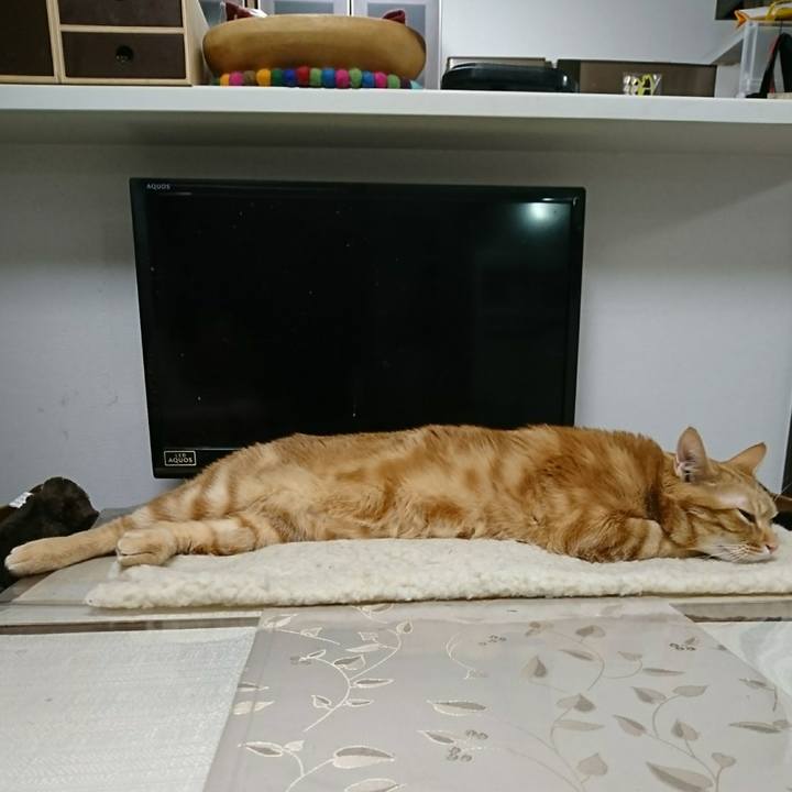 Fcb797d5 efd8 480d b539 bbd1aca5aabb 1552200161412