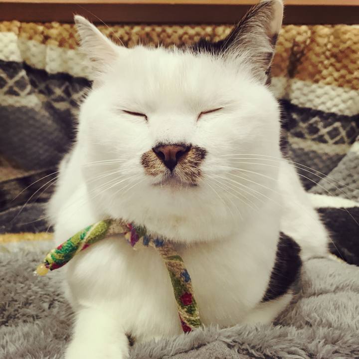 Fcb79dfe ba1a 4cac b145 39bf0d1026f8 1509254177782