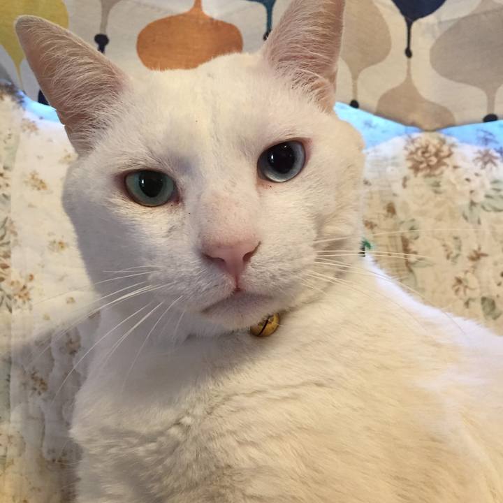 Fcb7a7c1 6f5f 49a6 8bfc c316ba03908e 1555626490110