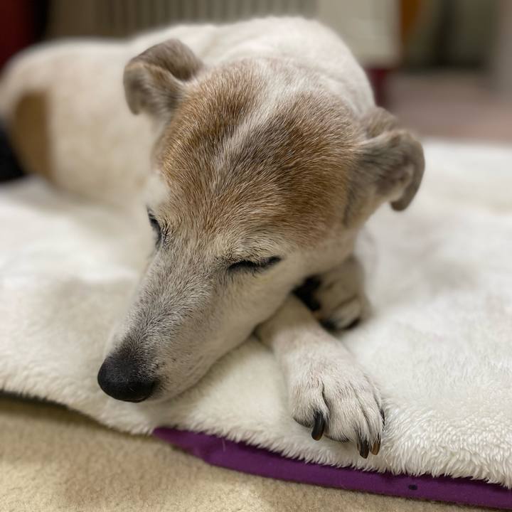 Fcb7c8cf f7e5 4494 8215 15781156b176 1672399700758