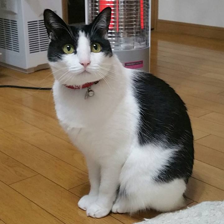 Fcb7dc6a c884 433d b122 cabe1a8ff683 1575245728471