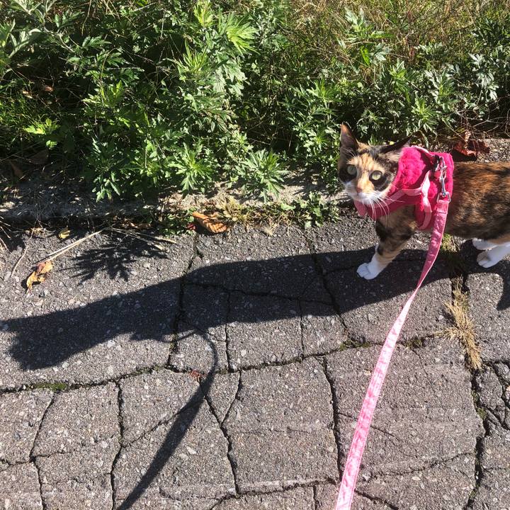 Fcb7dd4a d175 4f2a 9808 2d11e237c81f 1603609359998