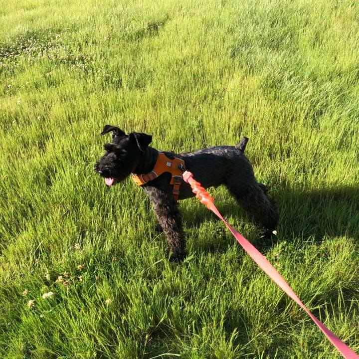 Fcb80ff4 5147 43e3 8396 a1ade97d9700 1685832849199