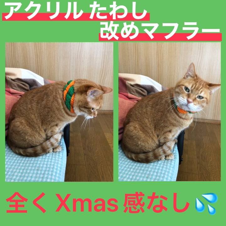 Fcb831b6 3f4c 4ca1 91c4 445b86dbd96a 1733015876639