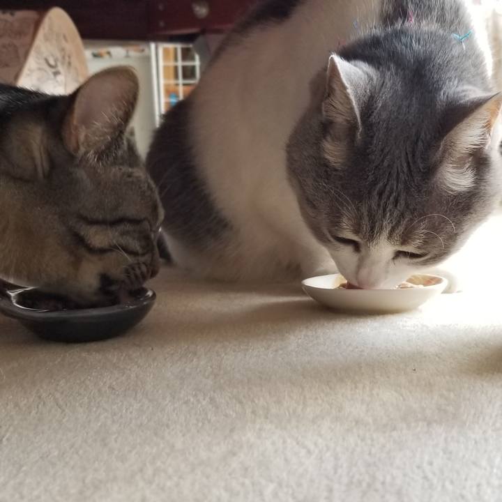 Fcb86135 c642 472a 9363 cfac333b64c1 1685188949315