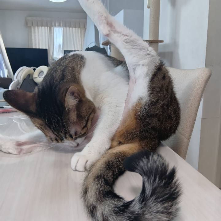 Fcb89235 9393 4a30 9aeb 6500d30eda34 1758413378750