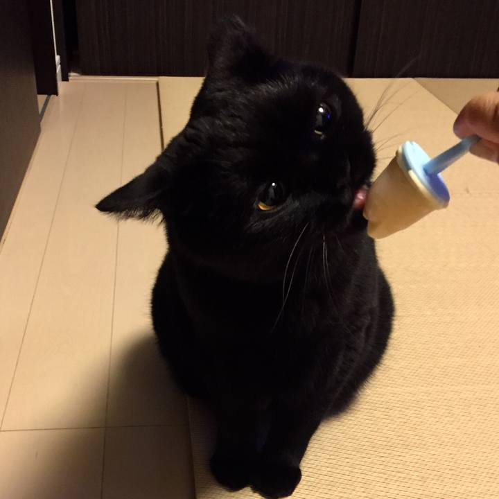 Fcb8c4f2 1f68 460a b8bb b0023a20bd5d 1533995900142