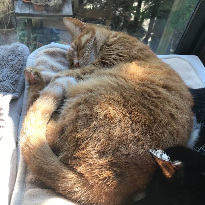 Fcb8c844 1ea1 45ba b721 7a1350467b28 1515814659324