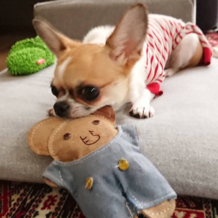 Fcb8ef35 9188 4981 a19e c4358c9b5408 1565133704374