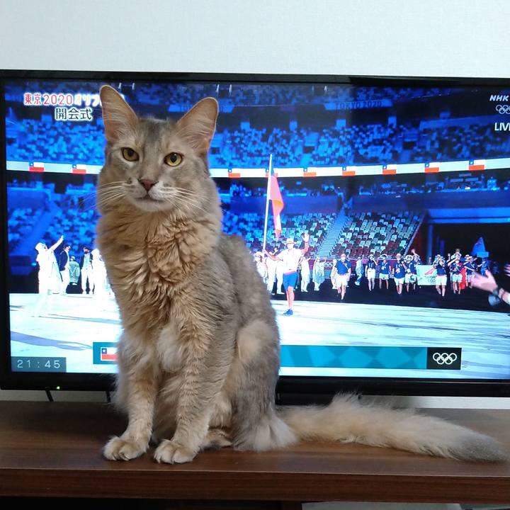 Fcb90f0d 1a3c 4c0d ad58 443cfb21345e 1627050580271