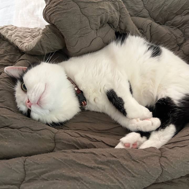 Fcb92460 1dc5 4cab 864d 3cb66e9c2635 1760312379884