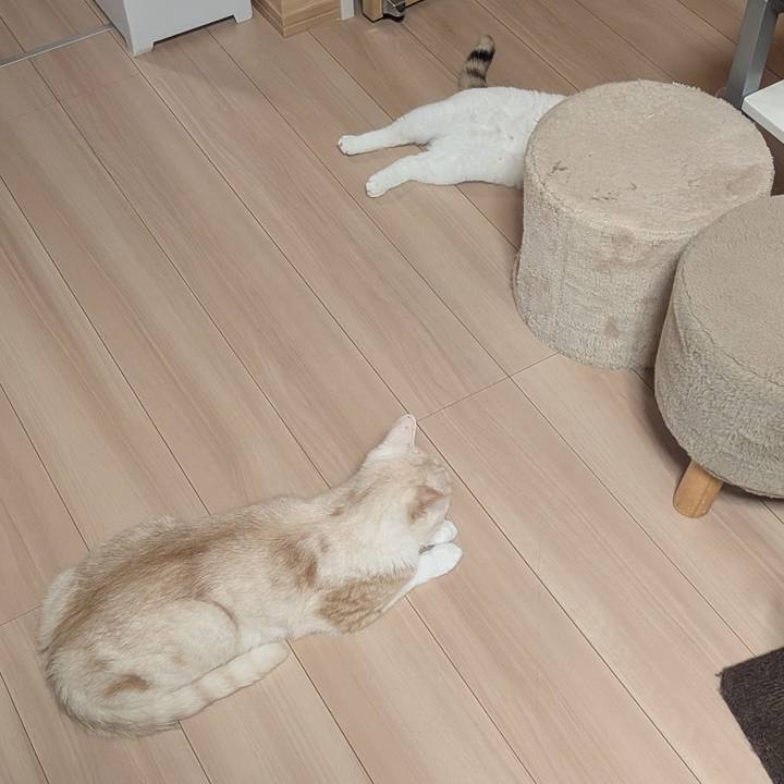 Fcb926f2 2010 4003 9798 e9d92ad2d750 1753438806142