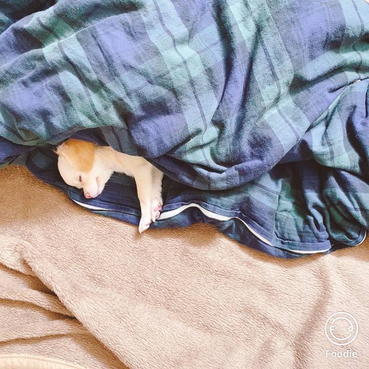 Fcb9636b 1eb3 40c9 83fe 81a46c408554 1597814705197