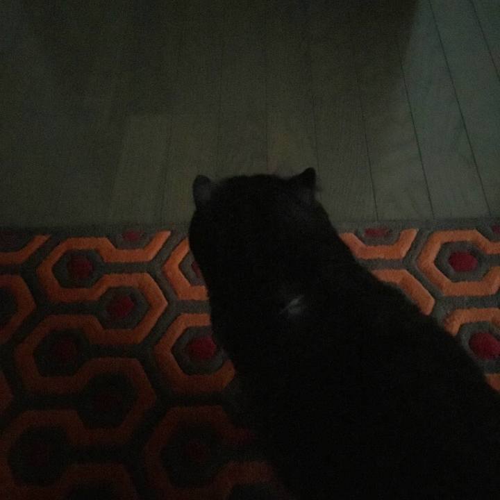 Fcb97a6f b270 4698 804e cff1a2ced0f7 1550612063702