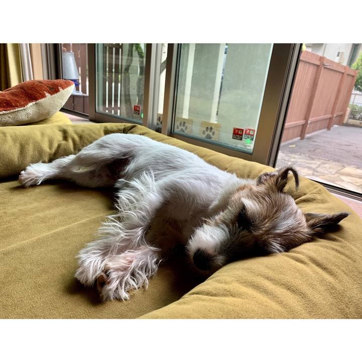 Fcb99360 0e43 4727 98ef a780e49a4d6a 1600752047262