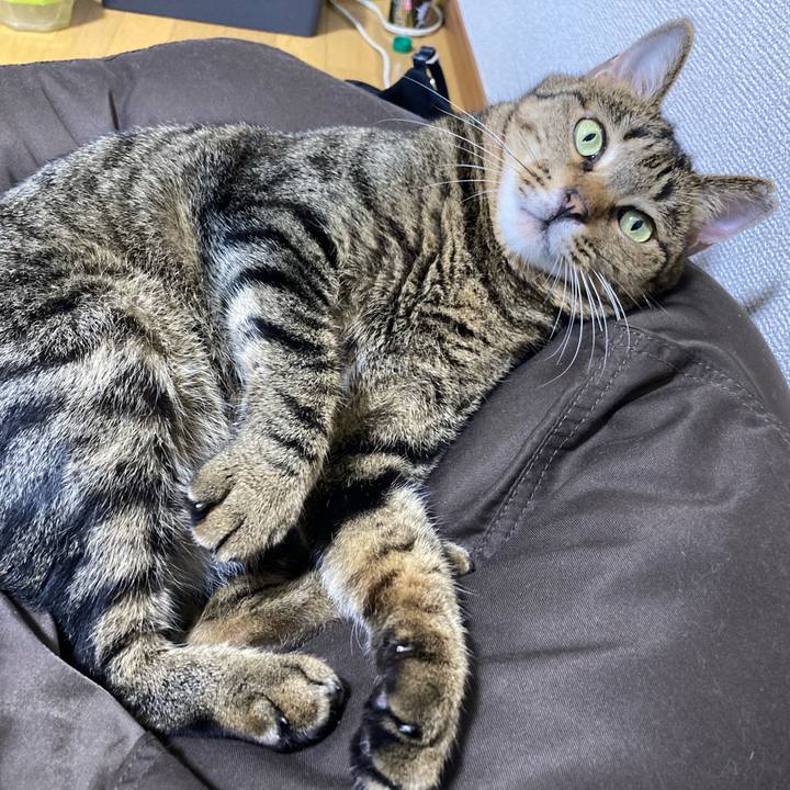 Fcb9a0c3 10c1 4b68 9098 90c9a1570d62 1602317869541