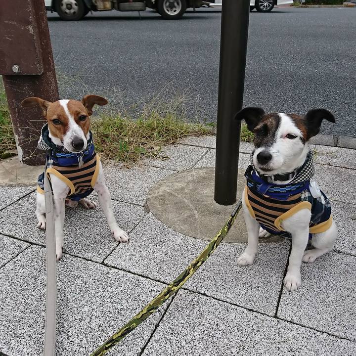 Fcb9a31f 31db 4429 b4be 557eb82d3ad6 1538690812644