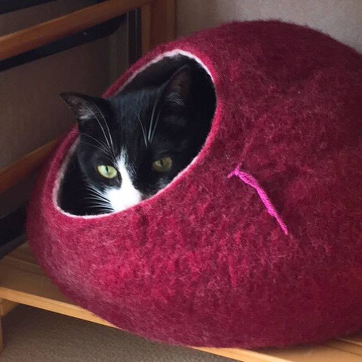 Fcb9d97b eb2a 4ffe 81f6 e7c7b8b75643 1528777185437