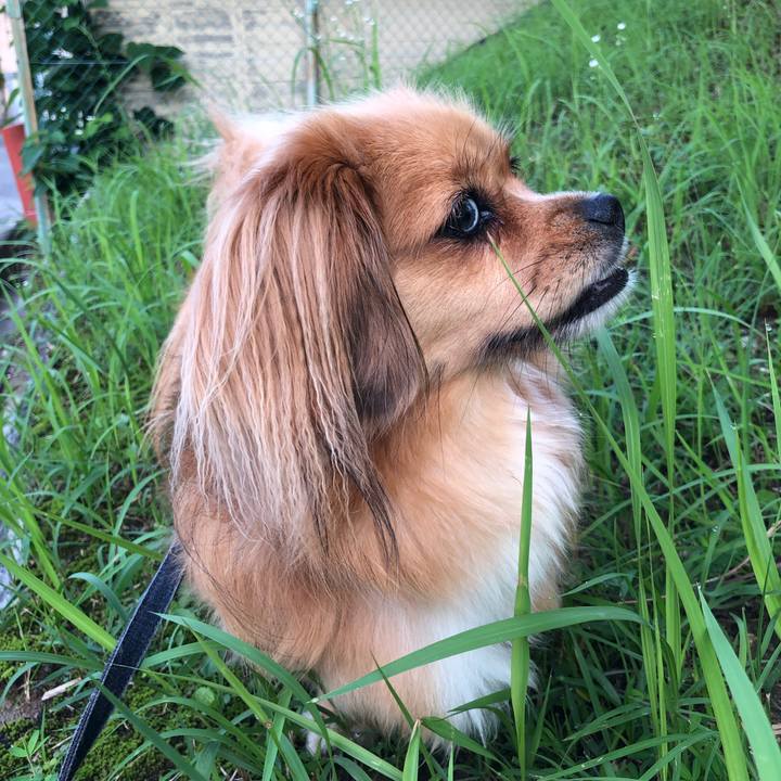 Fcba6847 88fc 4887 ae2e d5d04eb5ce1a 1563312684387