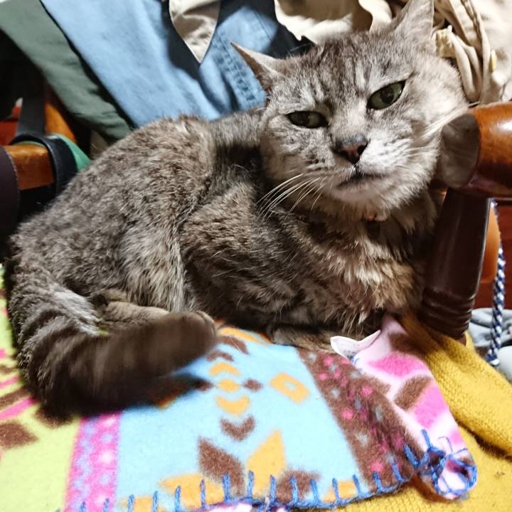 Fcba8745 8ffa 4702 a358 79ffc4c50185 1564568969366