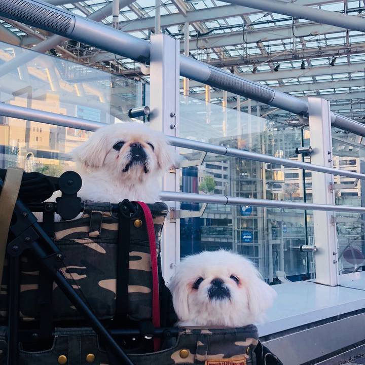 Fcba880e a896 48c1 95c0 6328c0ba8e30 1587771862578