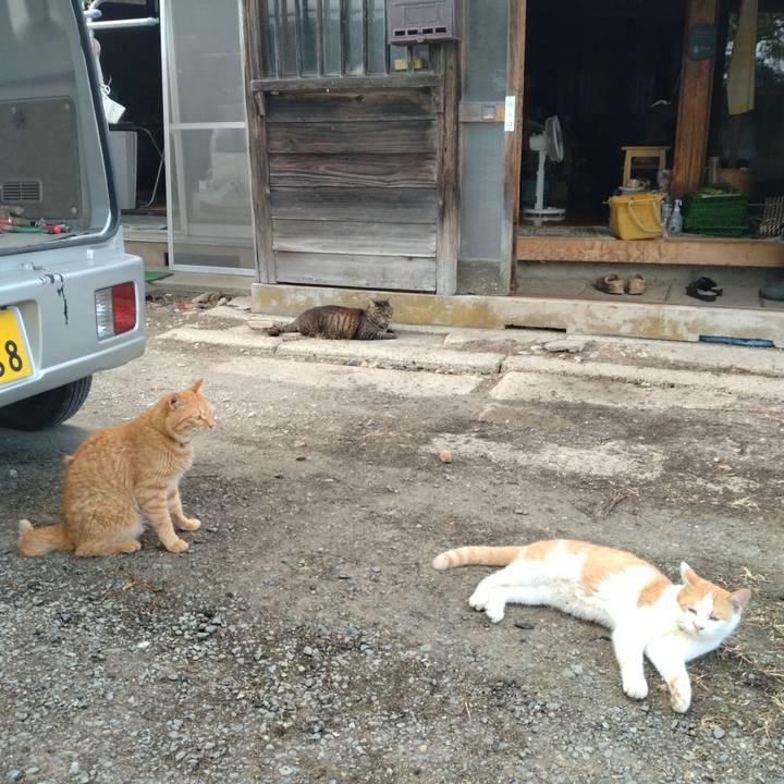 Fcba9168 d6e1 4144 aea3 f6bdd39078e4 1753090205166