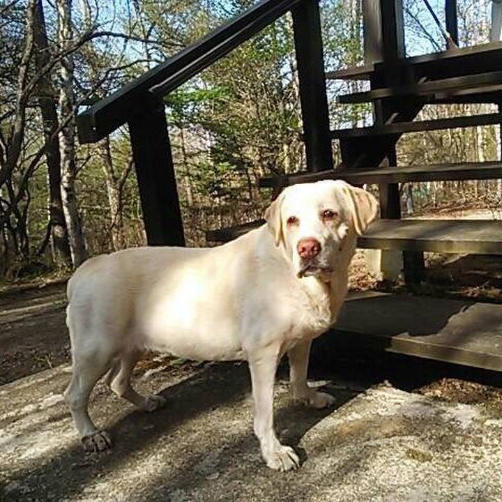 Fcba918d 1944 41c3 8079 7bac43480629 1514945800847