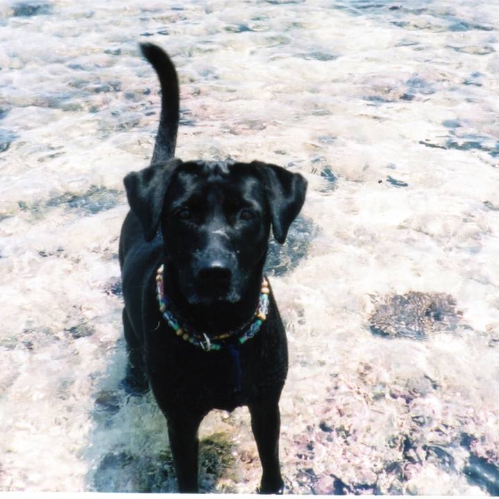 Fcbaa213 bc0b 407a a421 c45fc8b44d0c 1520471171466