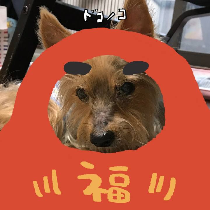 Fcbb6634 d001 48aa a21a 7a9f48d46e28 1771984479683