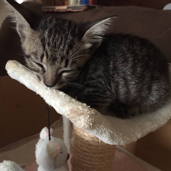 Fcbbbda8 1d29 4e5f 92c1 9645b13e8755 1534035193121