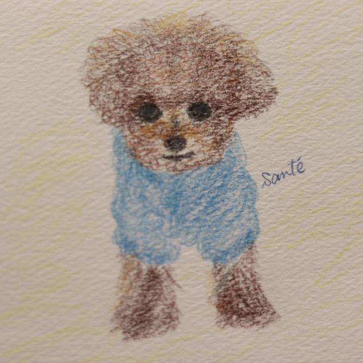 Fcbbd3ce 39e7 4996 b68e 8a726d94979a 1579697863418