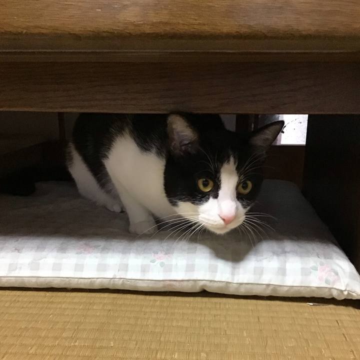 Fcbcb2ae 3aa1 4ba8 992a cc6810e60897 1653113941811