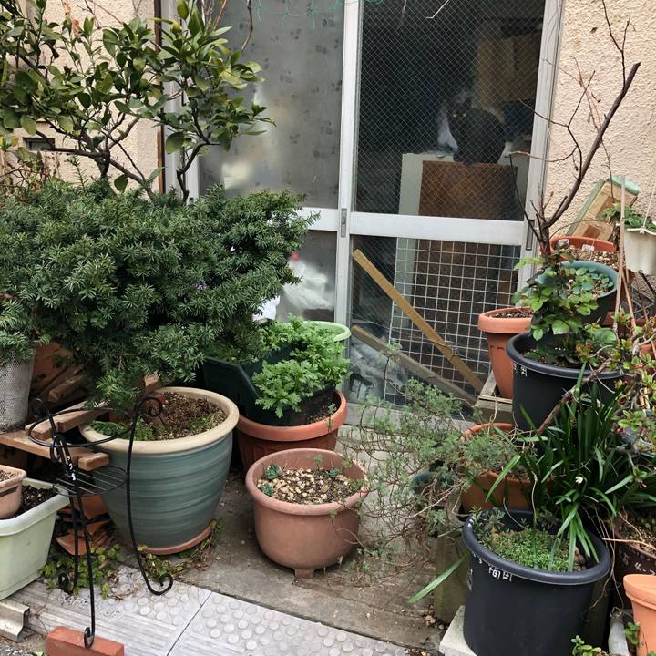 Fcbcb334 7c46 4606 99be fab254a0c57a 1552685413683