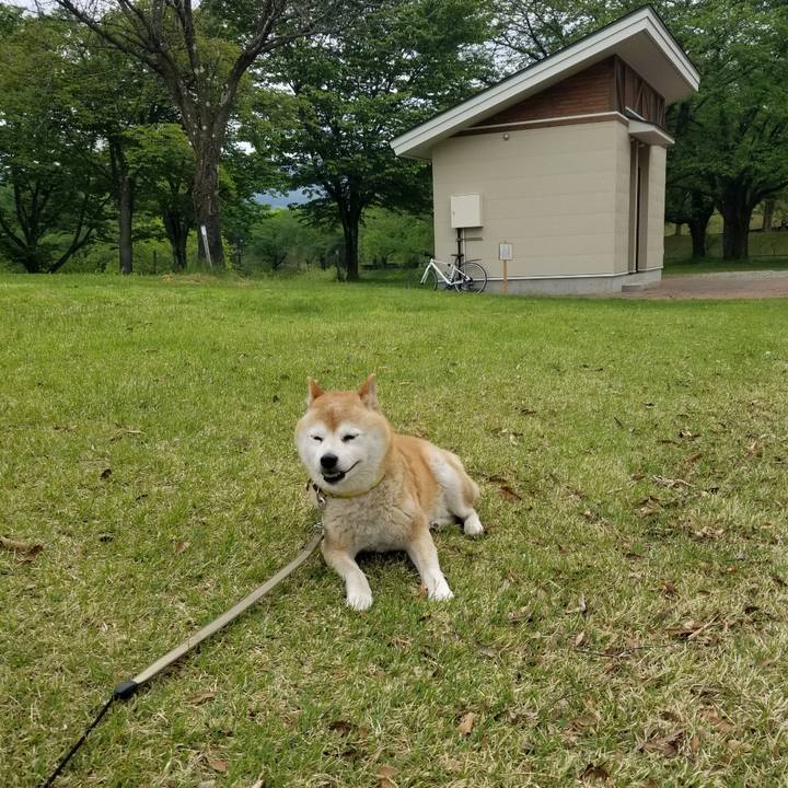 Fcbce1c1 e647 4535 bd8d aebf0e9f135e 1683338639950