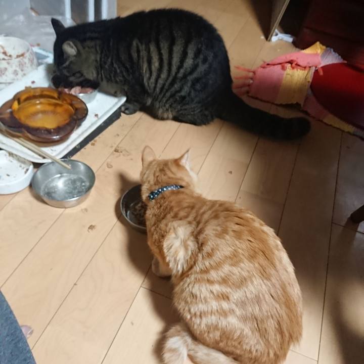 Fcbd0102 a654 47e9 a6a7 1296cecdbc0a 1638218778061