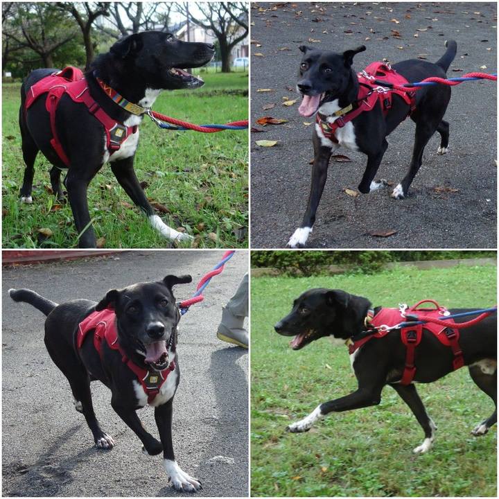 Fcbd20b9 18db 40c0 94da e2ccd1c8a89f 1602461006644