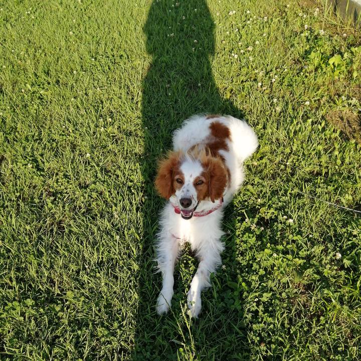 Fcbd33e9 6722 4902 a55a 99dac0c39855 1592295175863