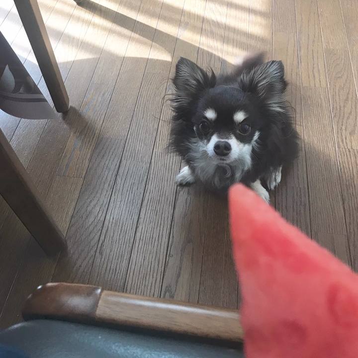 Fcbd666e f759 4ec0 9d9b 1d389ca90d3f 1559344404438