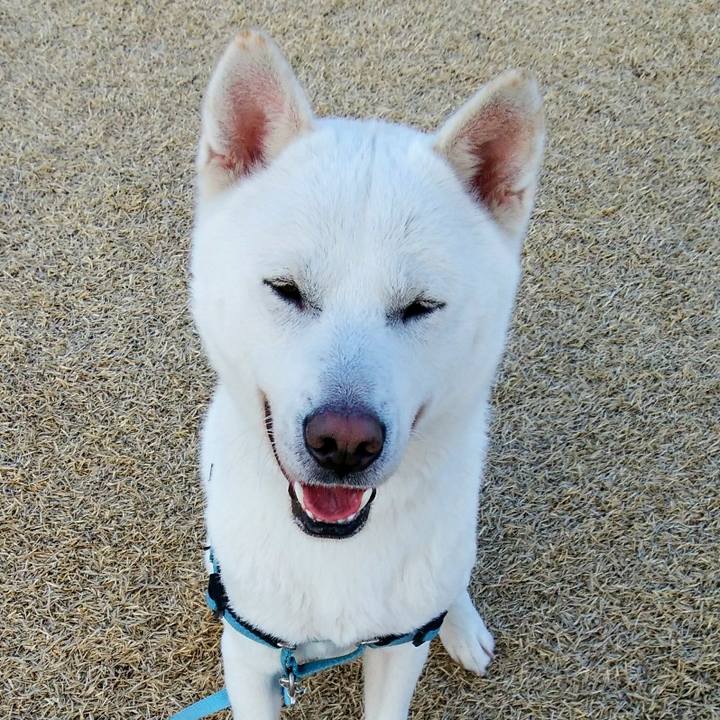 Fcbd727e b95b 4674 bc64 0db52ea61dd0 1552783961302