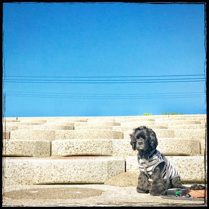 Fcbd8ff7 e903 4617 b2b6 cbb9665f9927 1526799349564