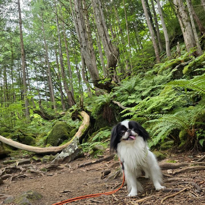 Fcbdba48 dcba 4e34 9929 cda594fc6e51 1752482731089