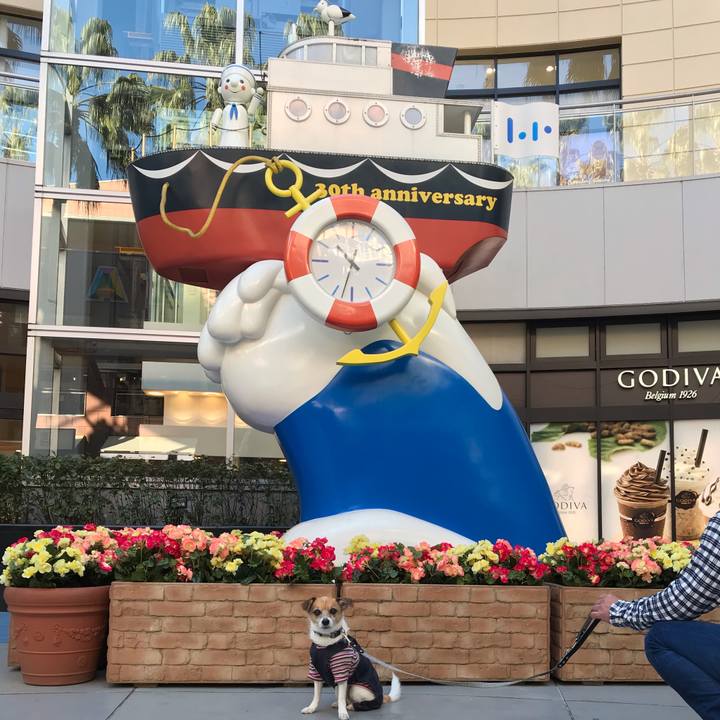 Fcbdf6dd 8db3 4880 92ff aafe503b9dfe 1546669202934