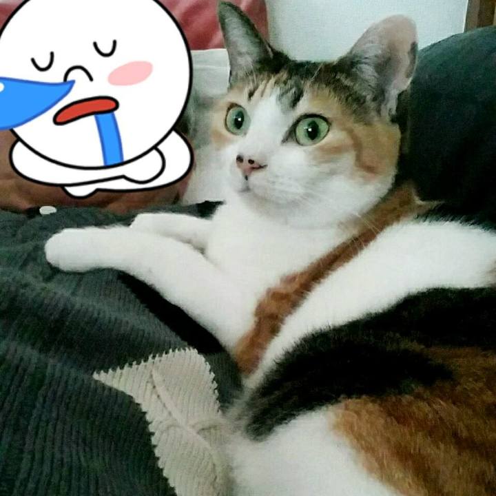 Fcbdf8b5 b074 455e 888f 427a341897b7 1511690665112