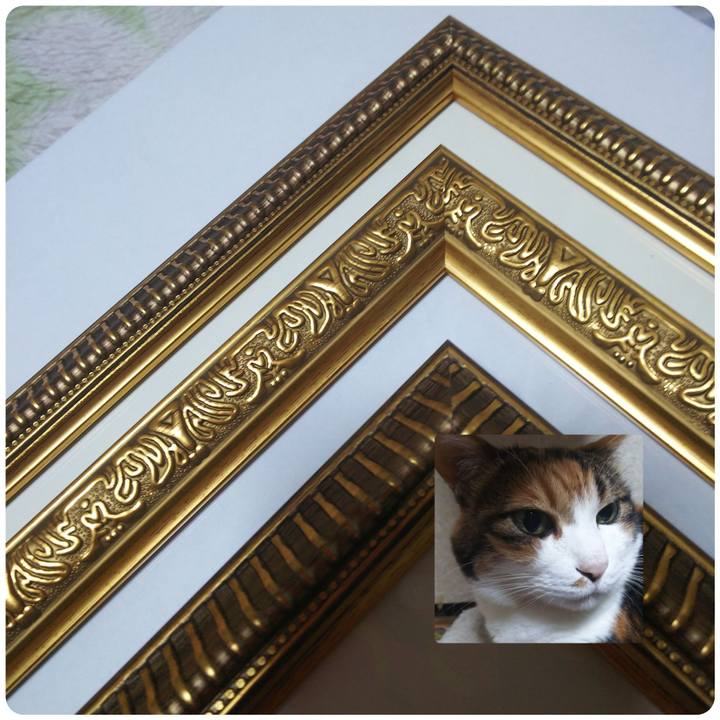 Fcbe0c2e 0a93 4eca 90c6 1d985d6a4aa0 1574909188209