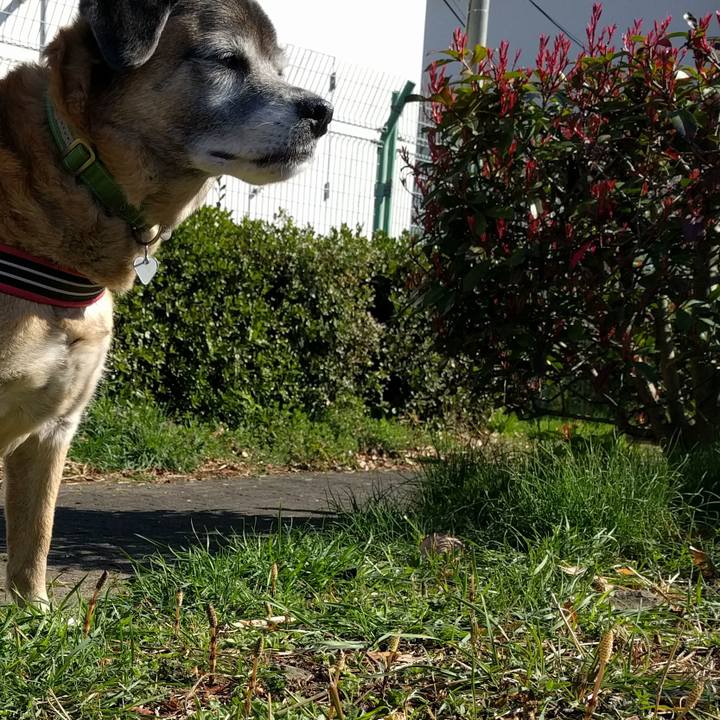 Fcbe17ee b0ef 4b78 99ec 0b13c25a781e 1552436225390