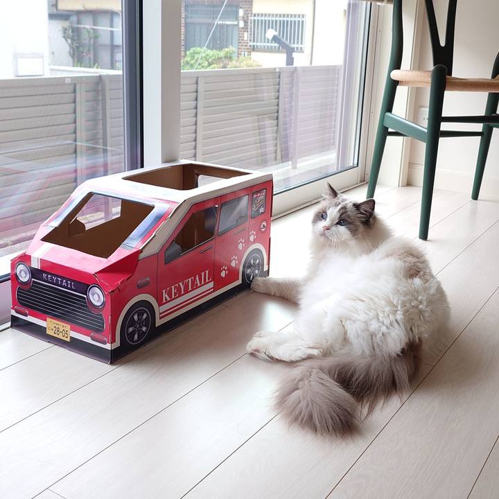 Fcbe4e93 c991 43e9 9522 7773363a192a 1775803041662